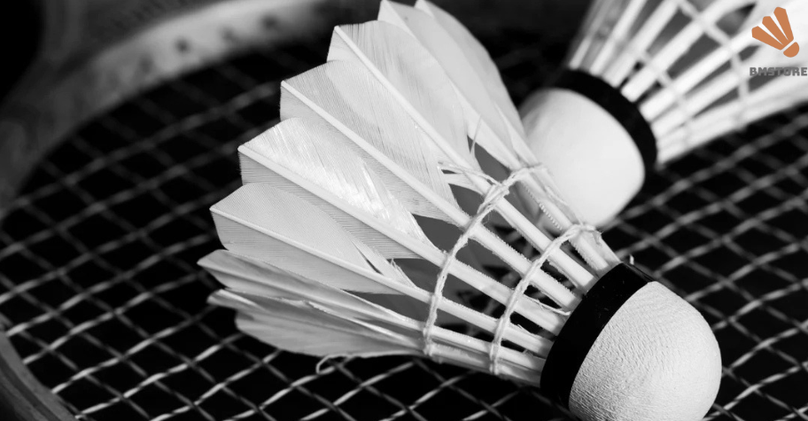 Những đôi giày cầu lông giá rẻ từ A đến Z - Đừng mua khi chưa đọc bài này 8 những đôi giày cầu lông giá rẻ tốt nhất