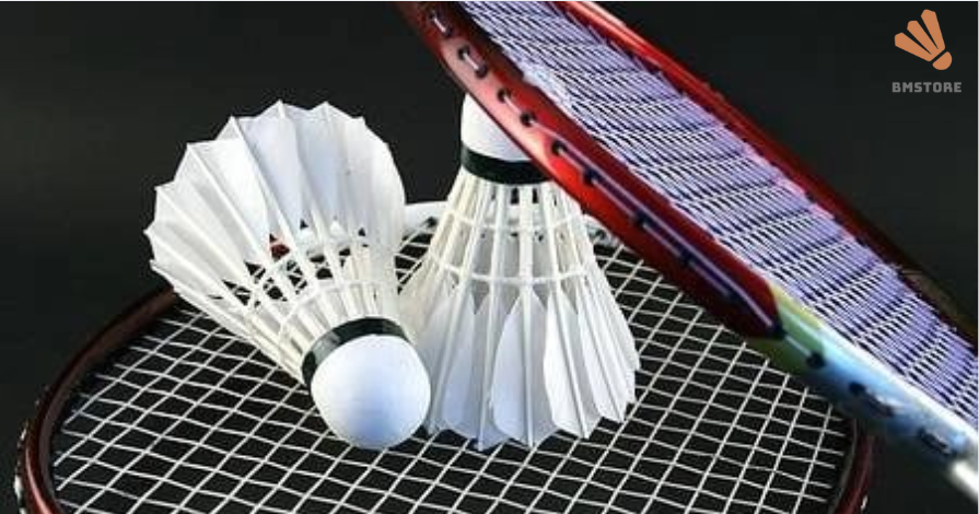 Khám Phá Giày Cầu Lông Mizuno 2024 - Sự Chọn Lựa Tối Ưu 2 giày cầu lông mizuno 2024 lựa chọn tốt