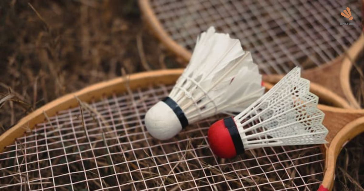 Vợt Cầu Lông Wilson Chính Hãng – Sự Lựa Chọn Cho Người Chơi 4 bìa vợt cầu lông xịn nhất thế giới (17)