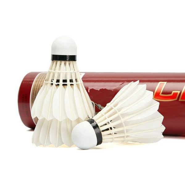 1 Quả Cầu Lông Bao Nhiêu Tiền? Giá Cập Nhật Mới Nhất 2025 1 thim sua 6ab22c89382b4edb968618b1f400aa8d grande